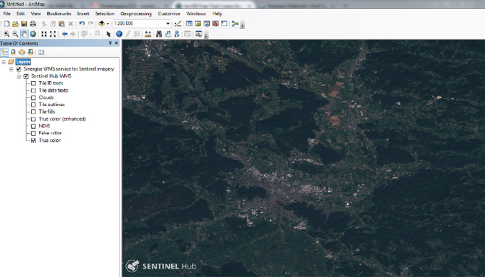 wms in ArcMap